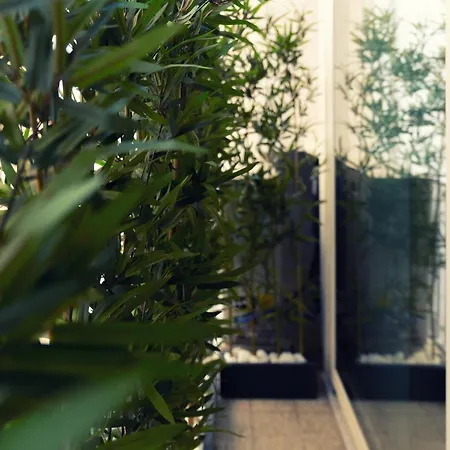 Onda Appartement *
